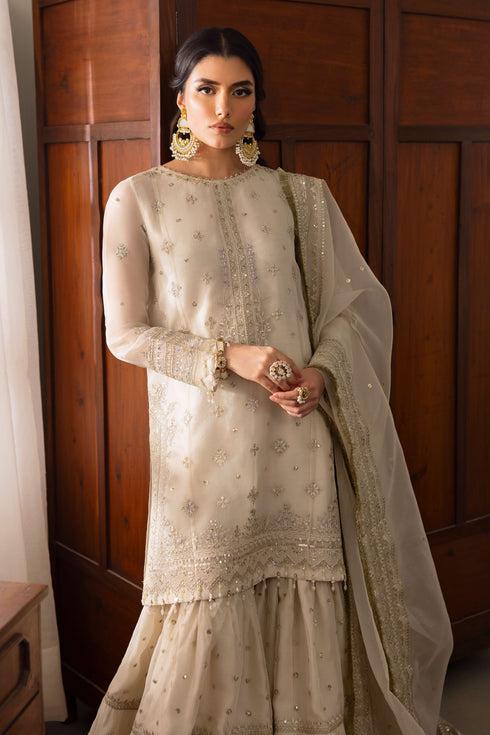 NAQSHI Jeena organza dupatta draped fully, displaying chunky embroidered 4-sided border finished with kiran lace and all-over sequin spray.
